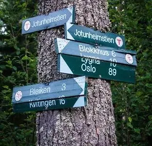 Onskedrommen 1 B