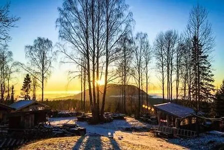 Onskedrommen 1 B * Gran